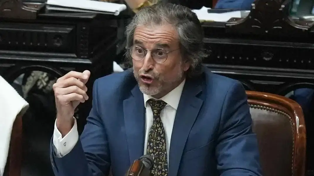 Benegas Lynch, diputado de La Libertad Avanza. (foto: redes)