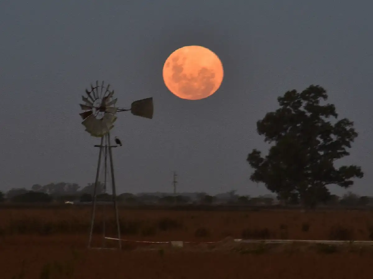  Superluna rosa: así se vio el fenómeno astronómico en San Francisco