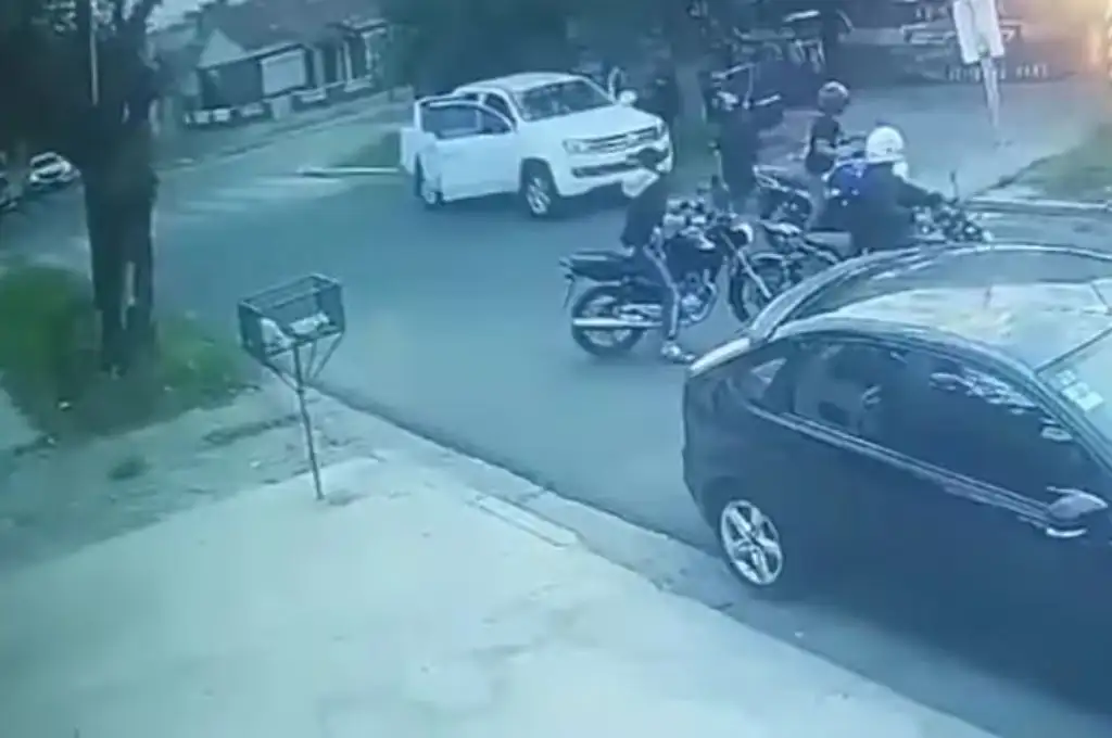 Robo piraña
