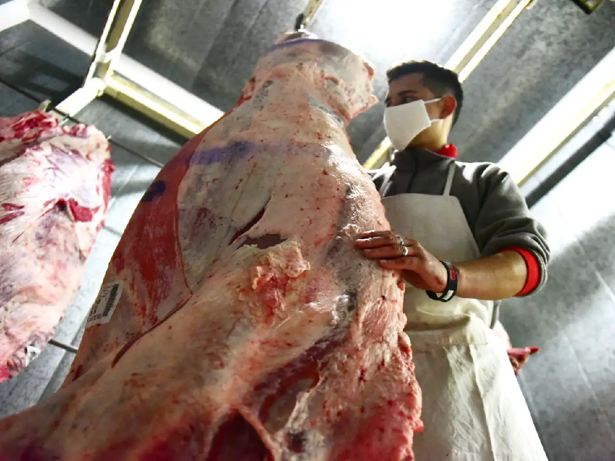 Rebajas de hasta 30% en precios de asado, vacío, matambre, tapa de asado, cuadrada y carnaza