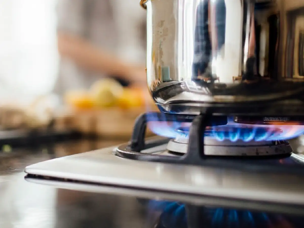 Dan a conocer los detalles del nuevo esquema de subsidios al consumo de gas y electricidad