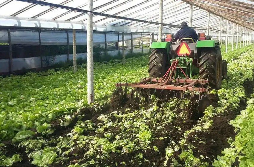 Agroquímicos: "No vamos contra los productores, vamos por la salud"
