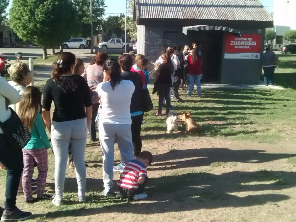 Arroyito: en un día se agotaron los turnos para castraciones de mascotas   