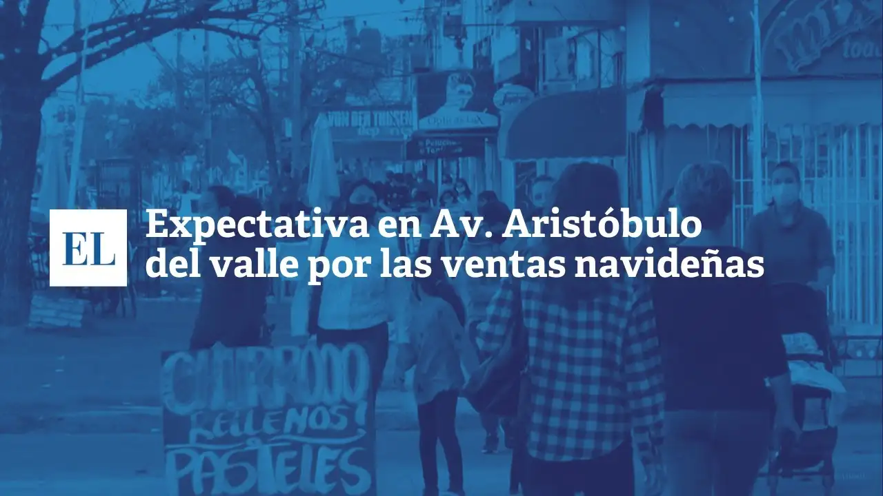 Expectativa en Av. Aristóbulo el Valle por las ventas navideñas