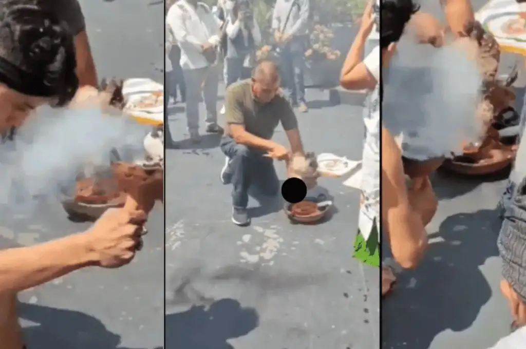 Sacrificaron una gallina frente al Senado