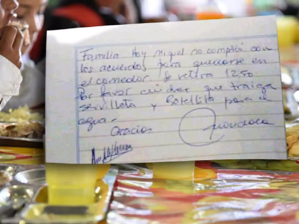 Neuquén: alumnos se quedaron sin almuerzo por no llevar servilletas