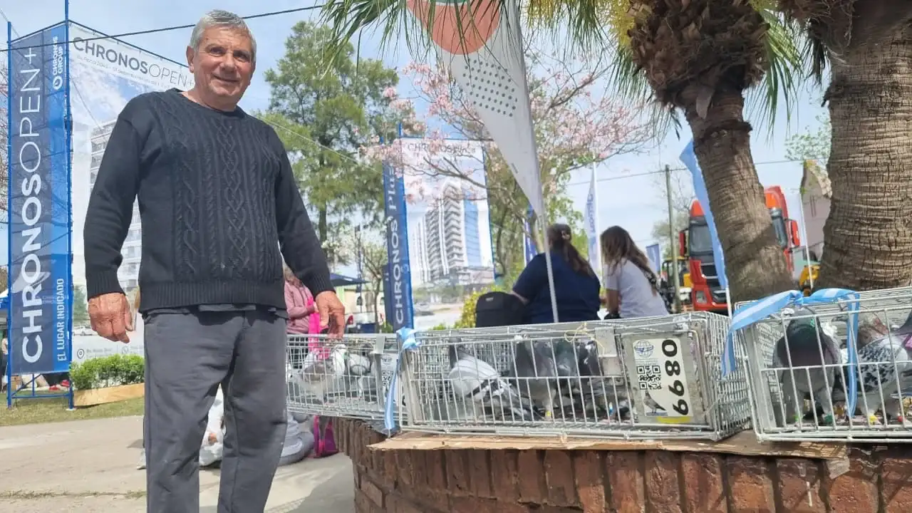 Una tradición que vuela: “Tito” y las palomas que esperan su momento