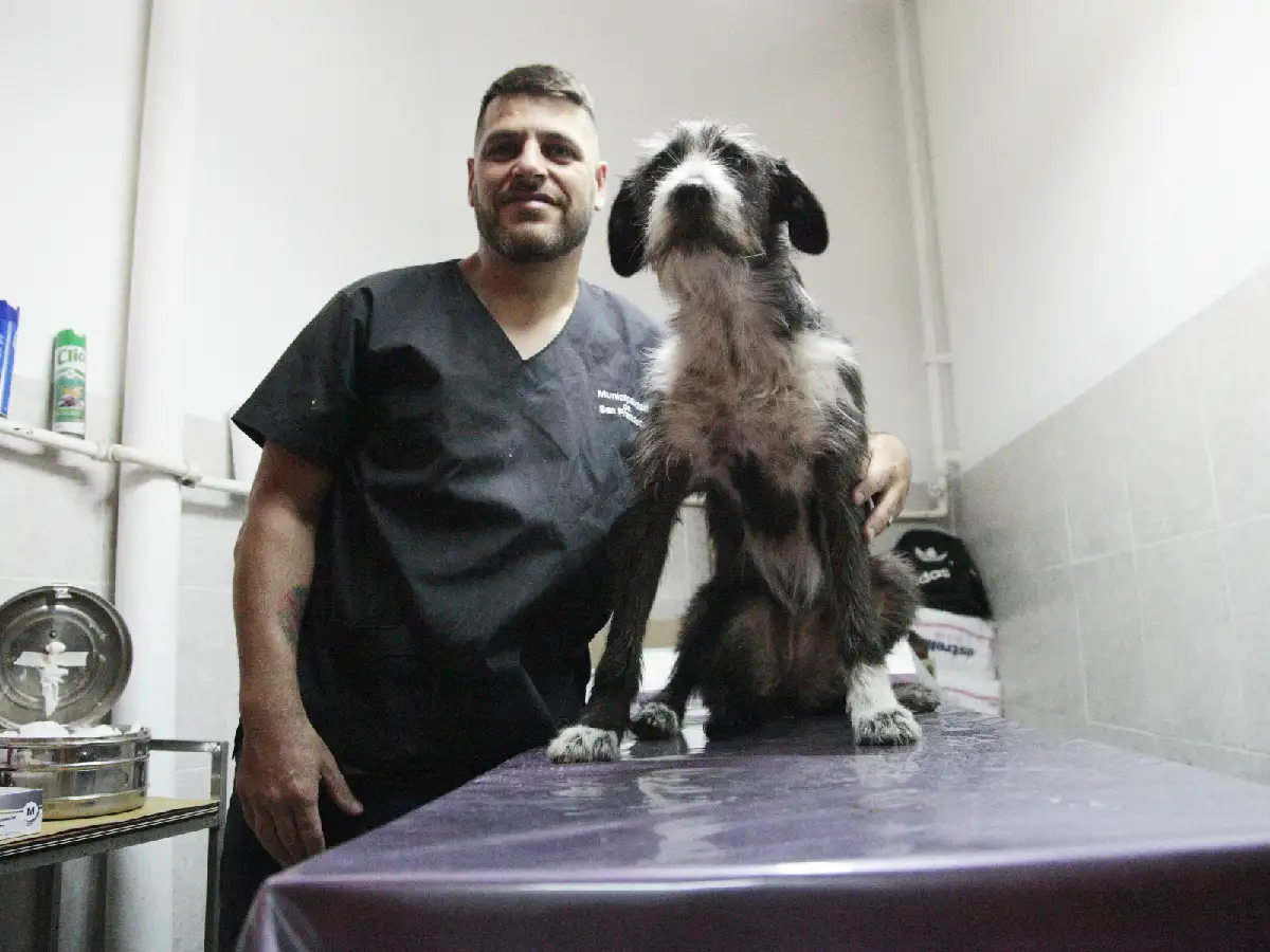  Durante la pandemia, las castraciones se harán en el dispensario del barrio Bouchard                   