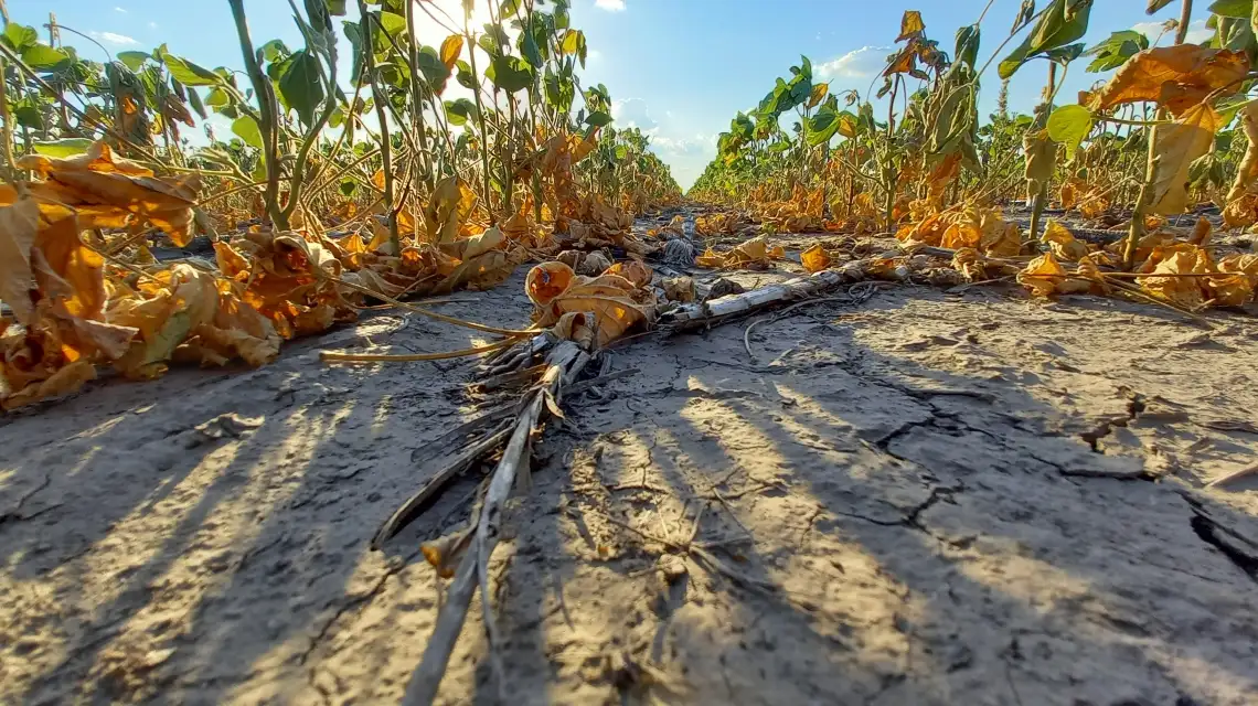 Apoyo provincial al sector agropecuario afectado por la sequía