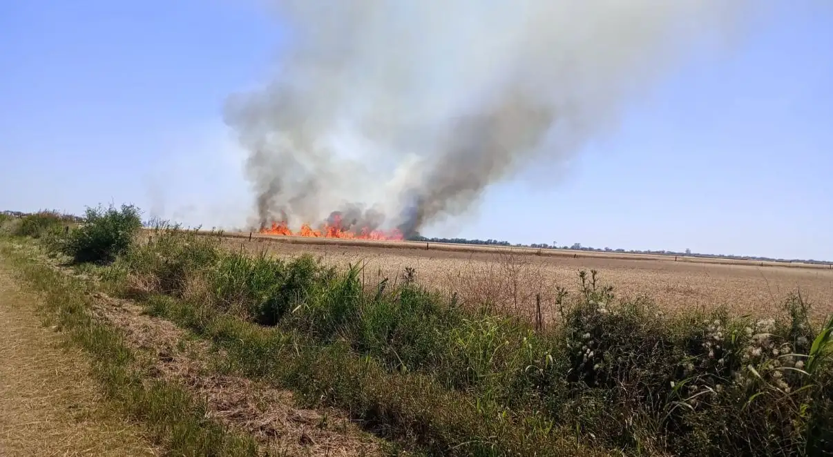 Mientras realizaban las tareas de trilla se desató el fuego.