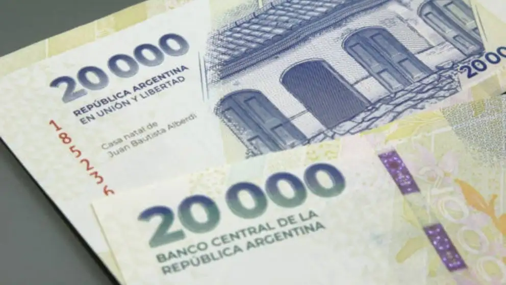 Esta asistencia forma parte del sistema de protección social y tiene como objetivo reducir el impacto económico de la pérdida del empleo mientras la persona se reincorpora al mercado laboral.