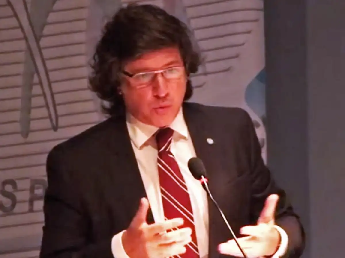 QUIEN ES GUSTAVO KOLLMANN - Atentado a Cristina Kirchner: Brenda Uliarte tiene el mismo abogado que Oscar Centeno, del caso Cuadernos