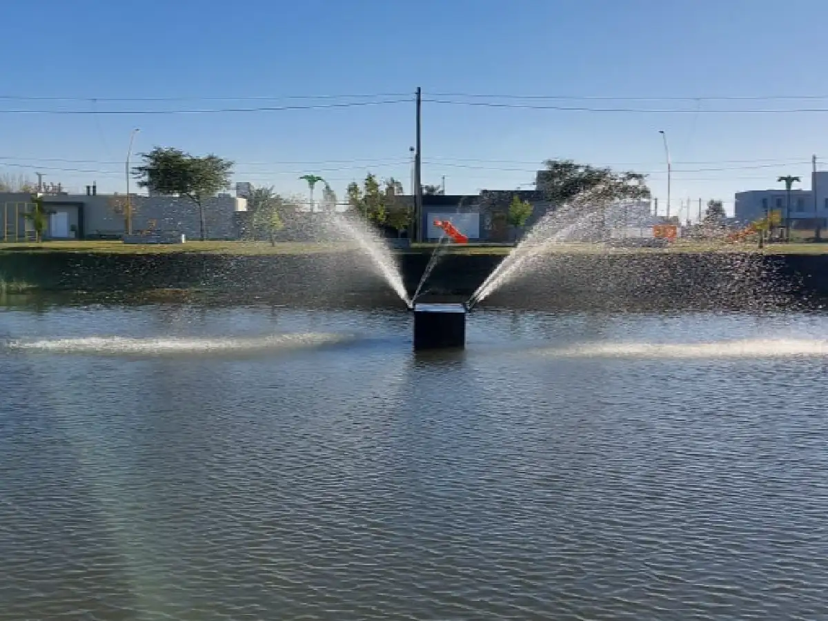 Efectos de cascada y nuevas plazas en Los Palmares 4