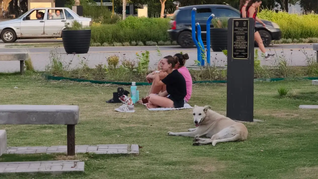 Se espera una jornada calurosa en la ciudad.