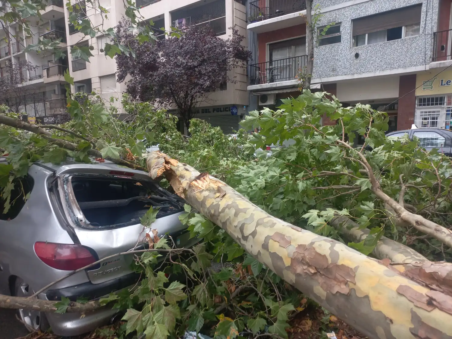 La tormenta dejó serios destrozos en la ciudad.