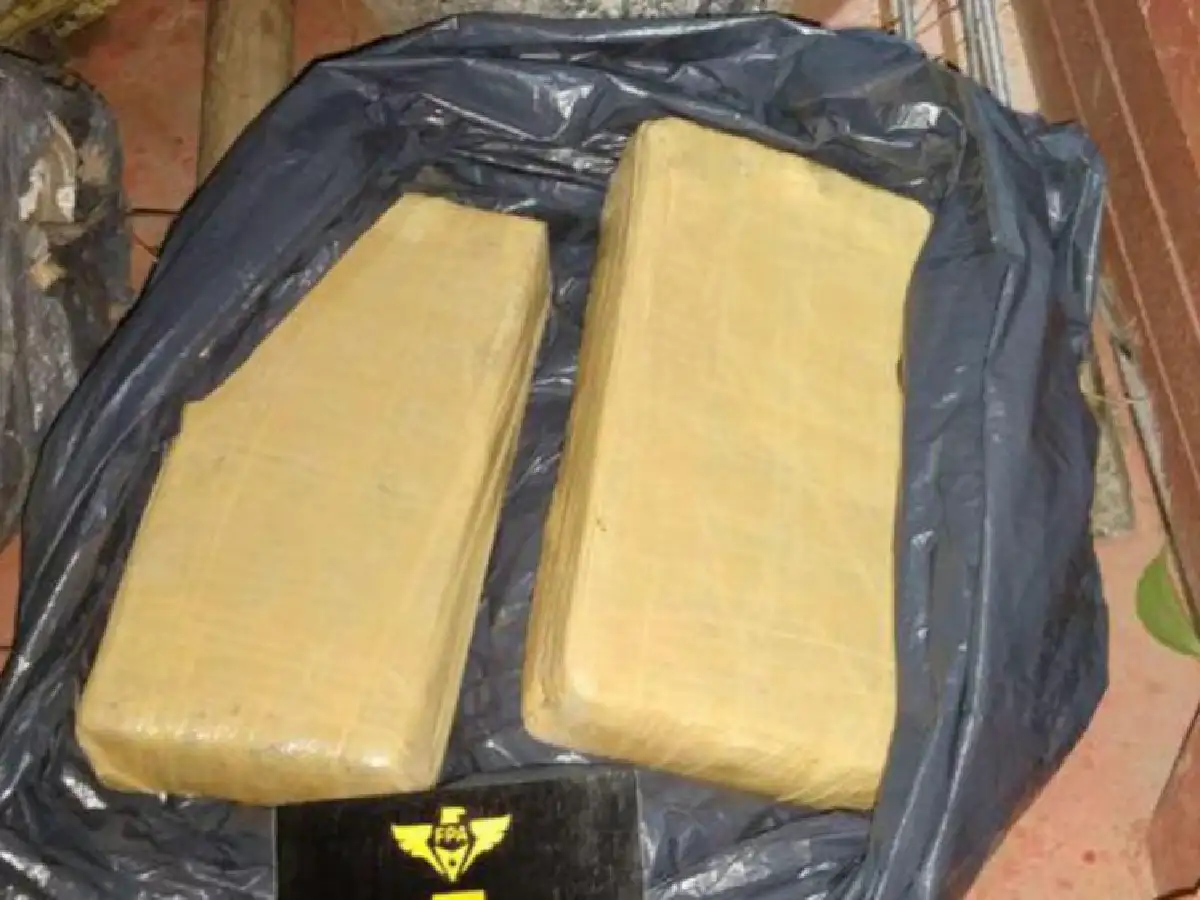 Hallaron más de 6 kilos de marihuana enterrados en el Circuido del Bosque 