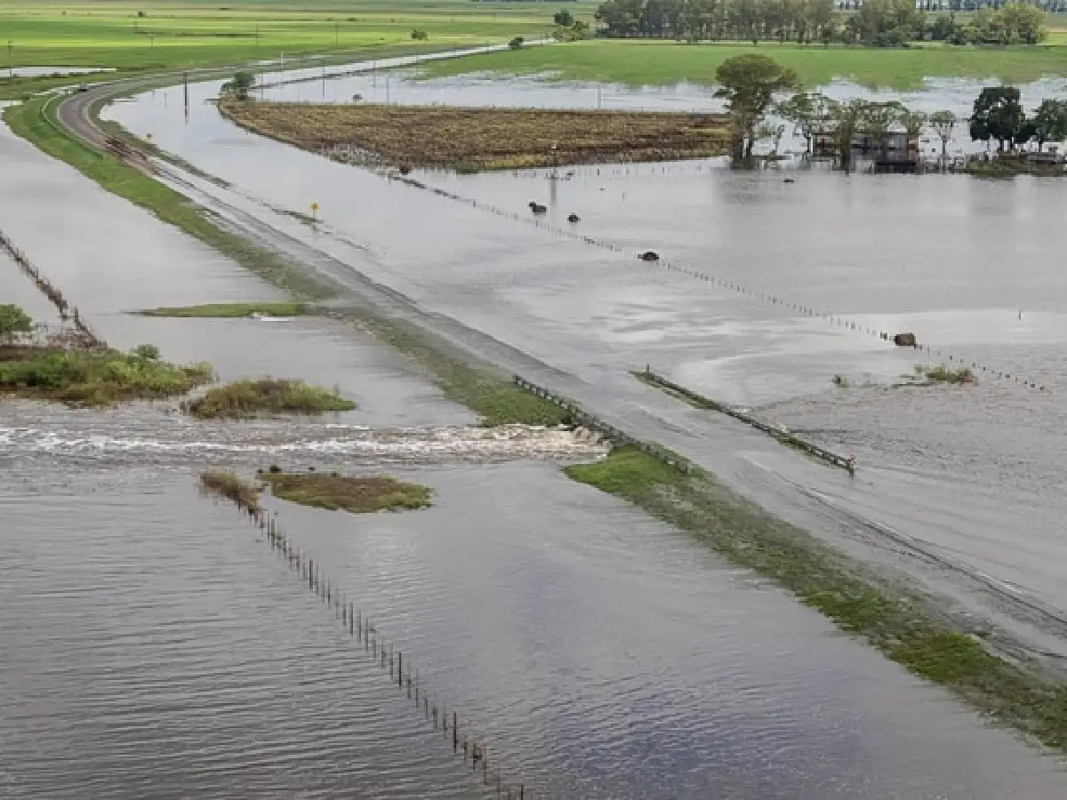 Declaran la Emergencia Agropecuaria en Santa Fe, Mendoza, Tucumán y Santiago del Estero