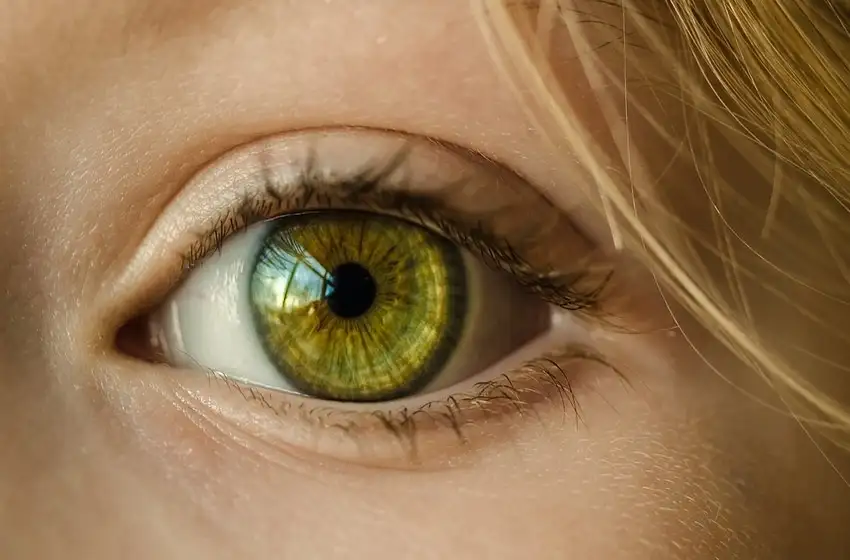 Día Mundial de la Visión