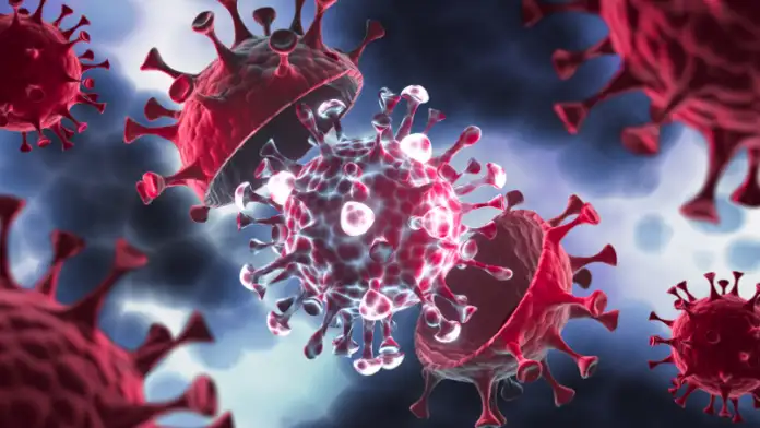 El Covid-19 nunca se fue. Aunque su impacto ya no es el mismo que durante la pandemia, el virus sigue circulando y mutando.