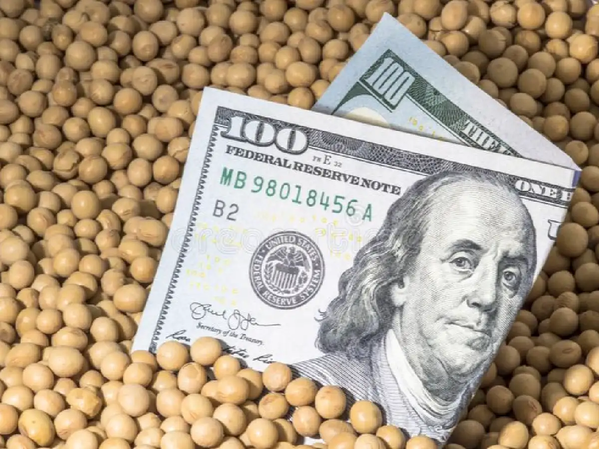 Dólar soja: establecen "pautas operativas" para la liquidación      