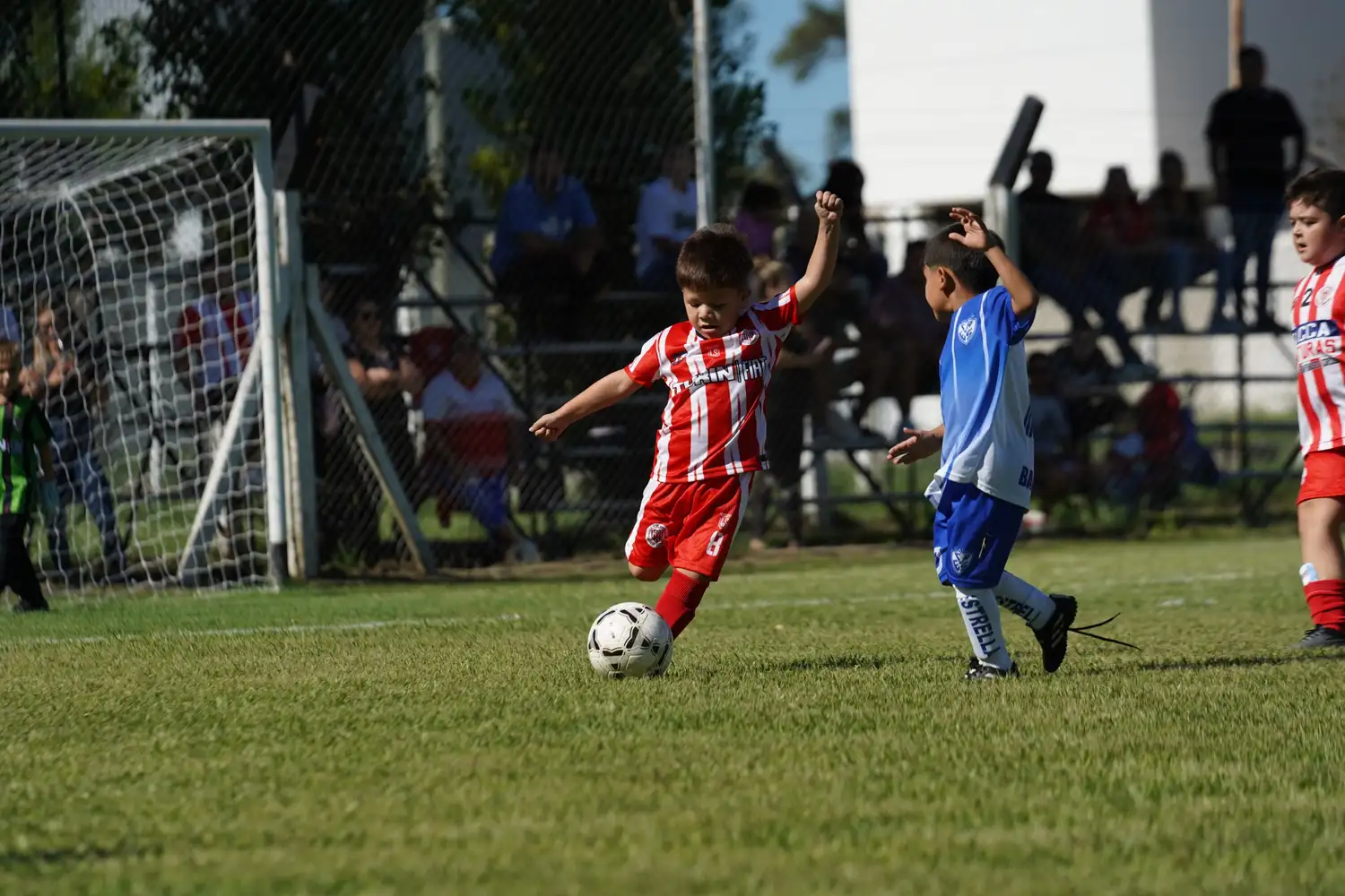 Domingo de fútbol.