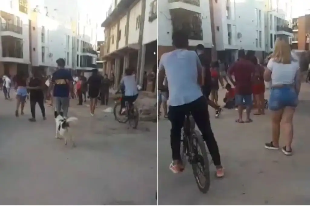 Intento de robo en Villa Lugano