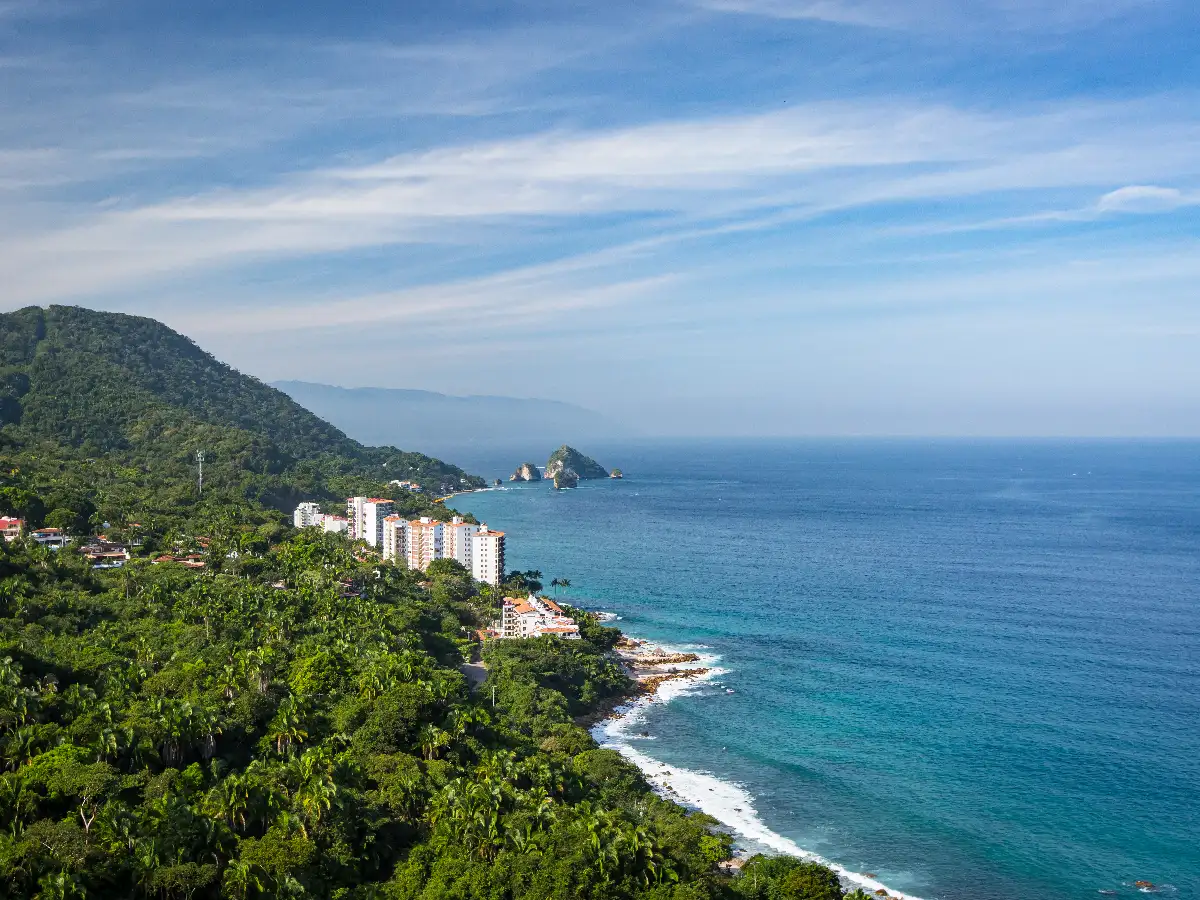El Pacífico mexicano como alternativa  al sargazo que afecta la costa del Caribe  