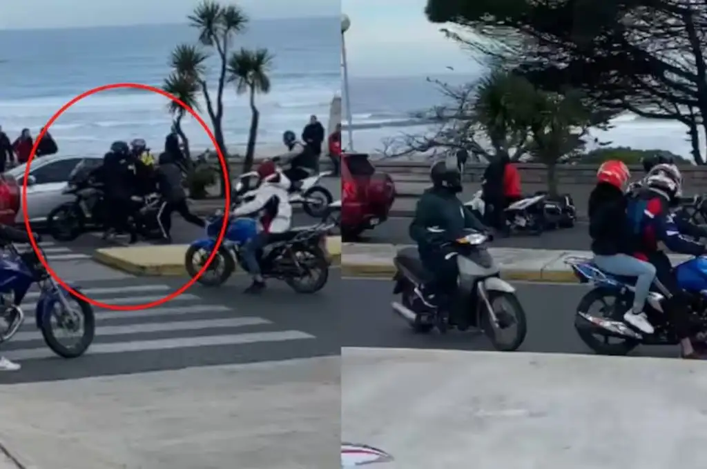 Violento ataque piraña