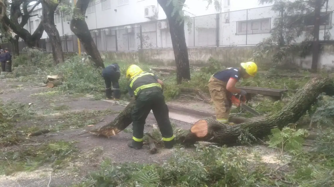 La provincia brinda asistencia en zonas afectadas por el temporal
