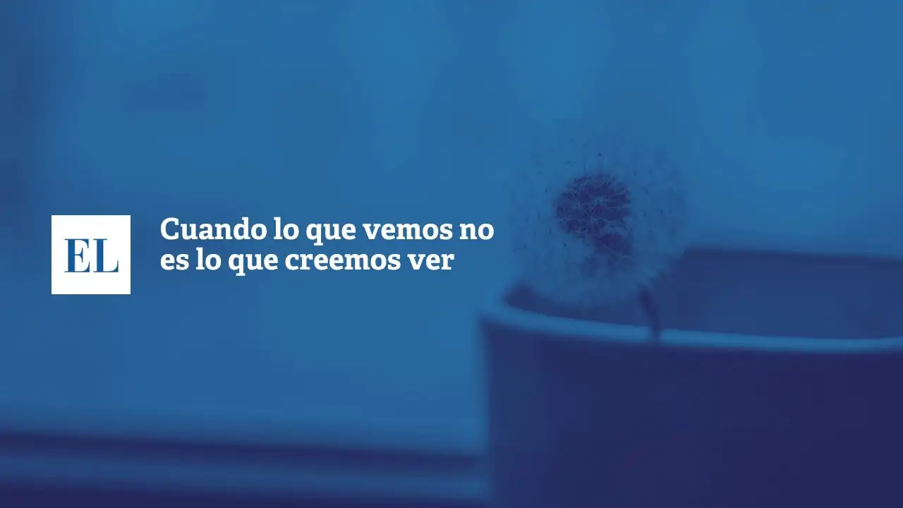 Cuando lo que vemos no es lo que creemos ver