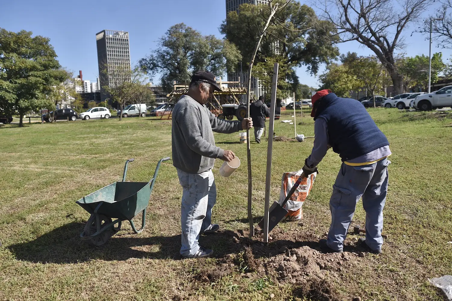 La ciudad sumó 50 árboles en un espacio del Puerto de Santa Fe