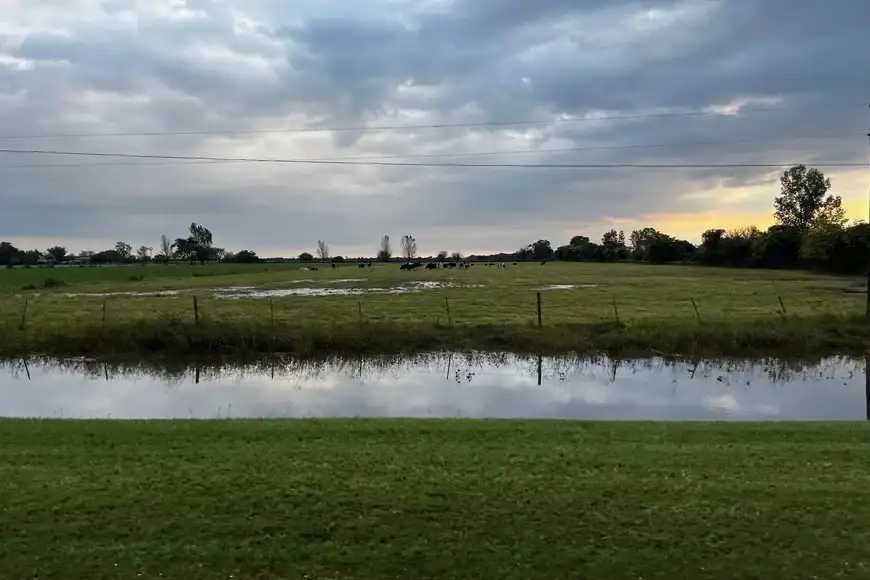 Campo