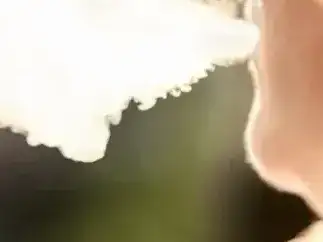 El proyecto llega en un contexto de creciente preocupación de las autoridades sanitarias por el aumento del uso de vapeadores entre adolescentes y jóvenes.