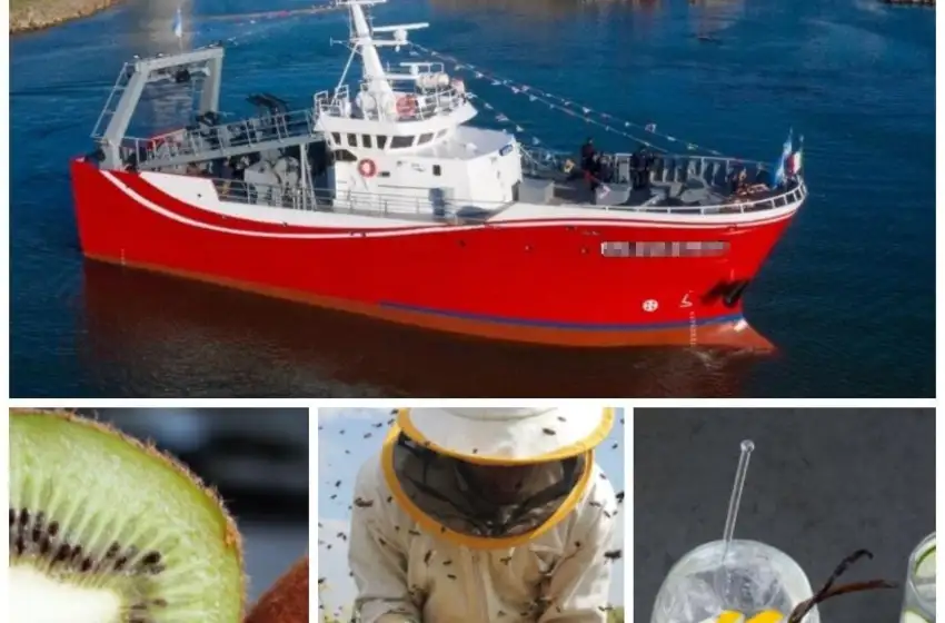 ¿Cuáles son las principales exportaciones de Mar del Plata?