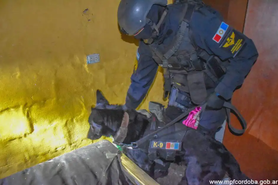 El operativo se desarrolló en 2023.