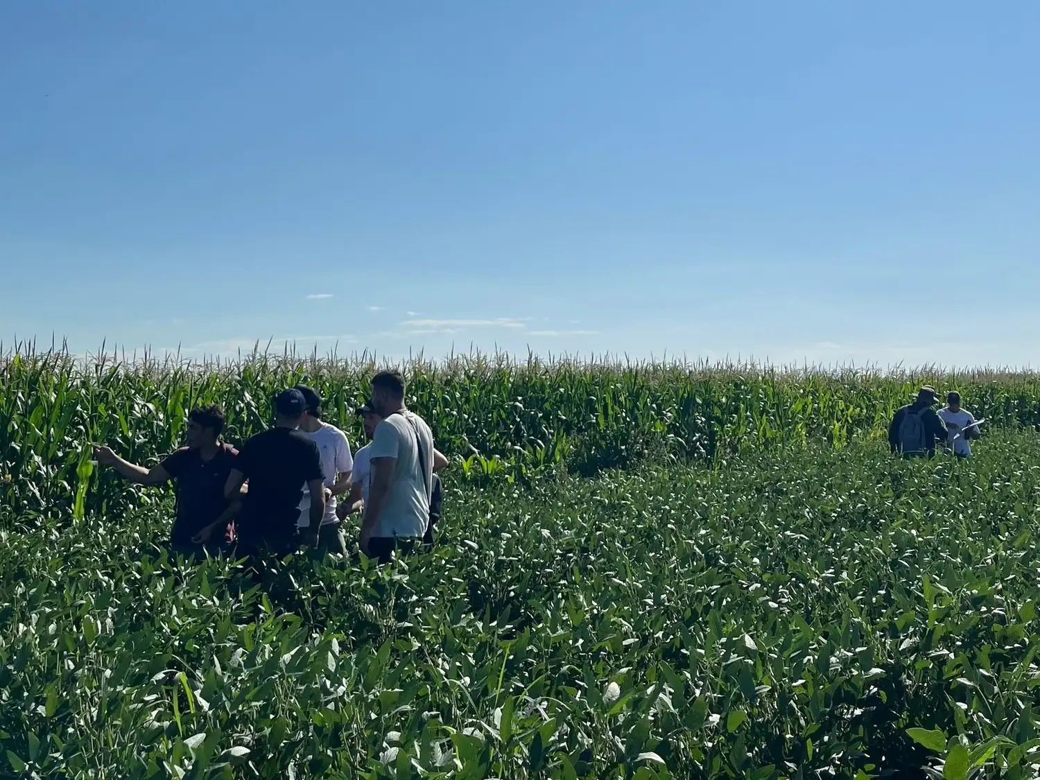 agronomía
