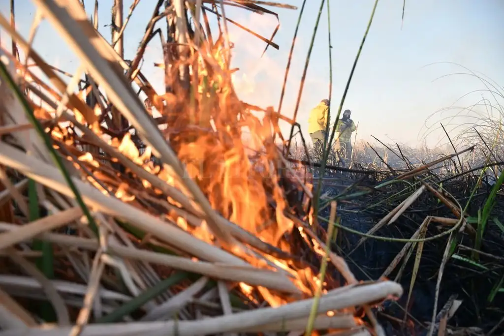 Ley de Manejo del Fuego: “pone en riesgo a la producción agropecuaria en todo el territorio nacional”