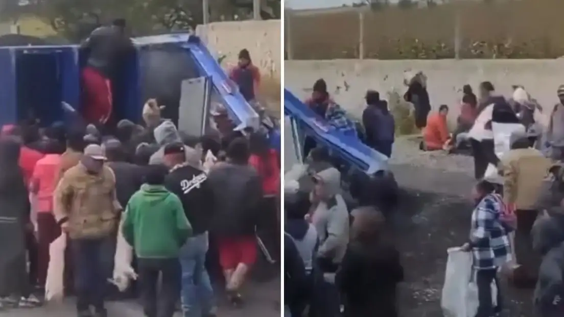 Volcó un camión con cerdos y una multitud se llevó hasta el último.