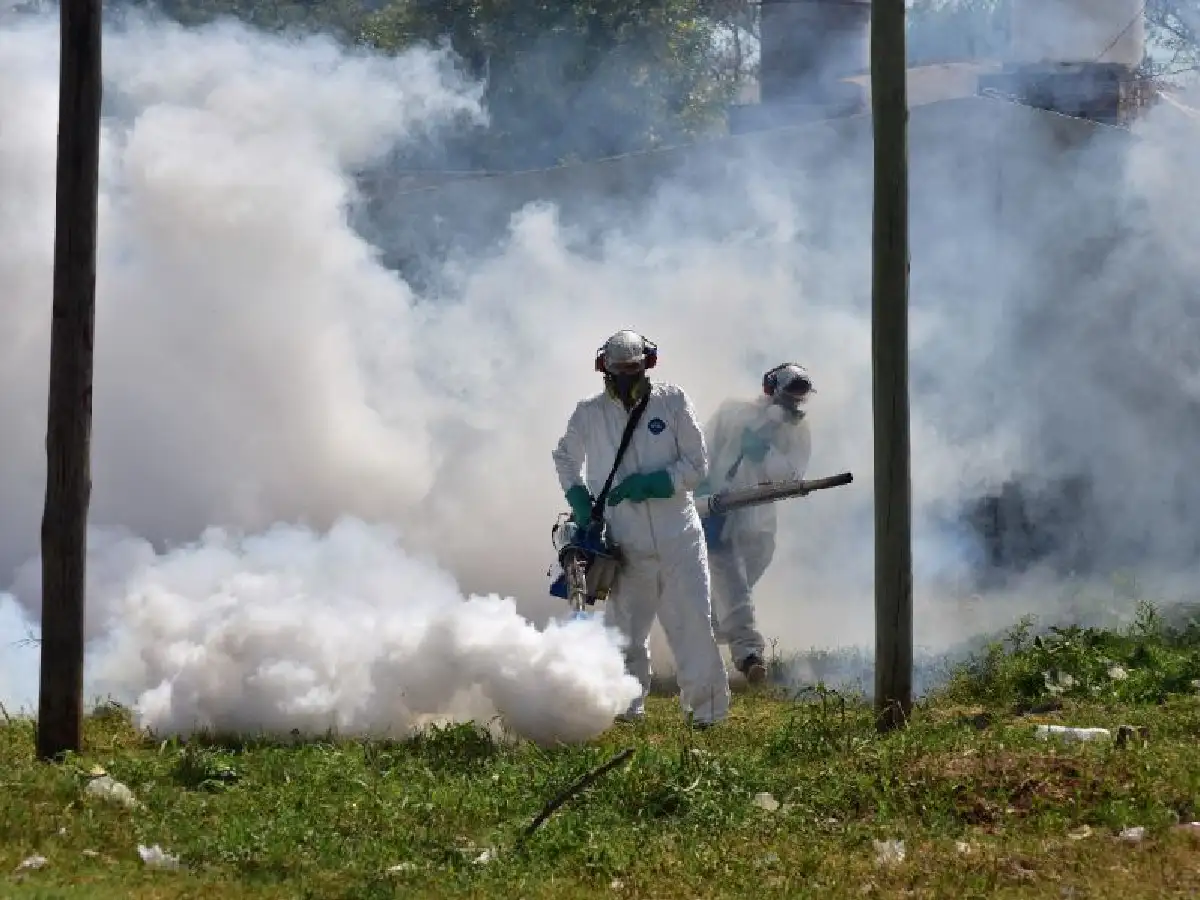 Cuidado con el dengue: ya son seis los casos en la ciudad