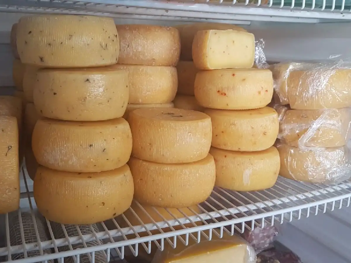 Difunden cuánta leche se necesita para realizar un producto lácteo