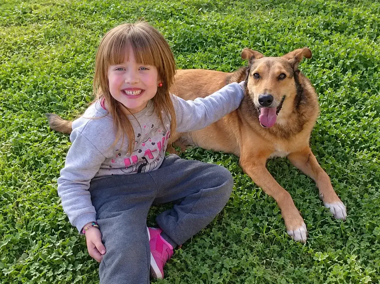 La adopción de Thor fue difundida por la Comuna de Chañar Ladeado en el Día Mundial del Perro Adoptado.