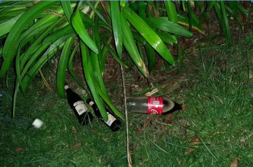 La "nueva nocturnidad": desarticulan cinco fiestas clandestinas