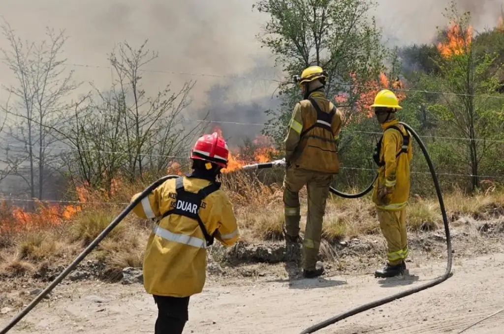 Las condiciones climáticas dificultan el combate del fuego.