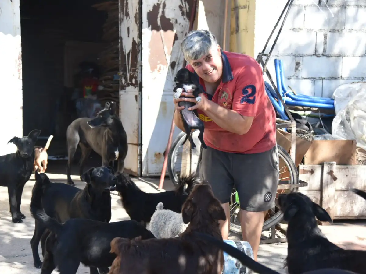 Junta cartón para vivir y da todo por los animales: “Ellos son mi motor de todos los días”