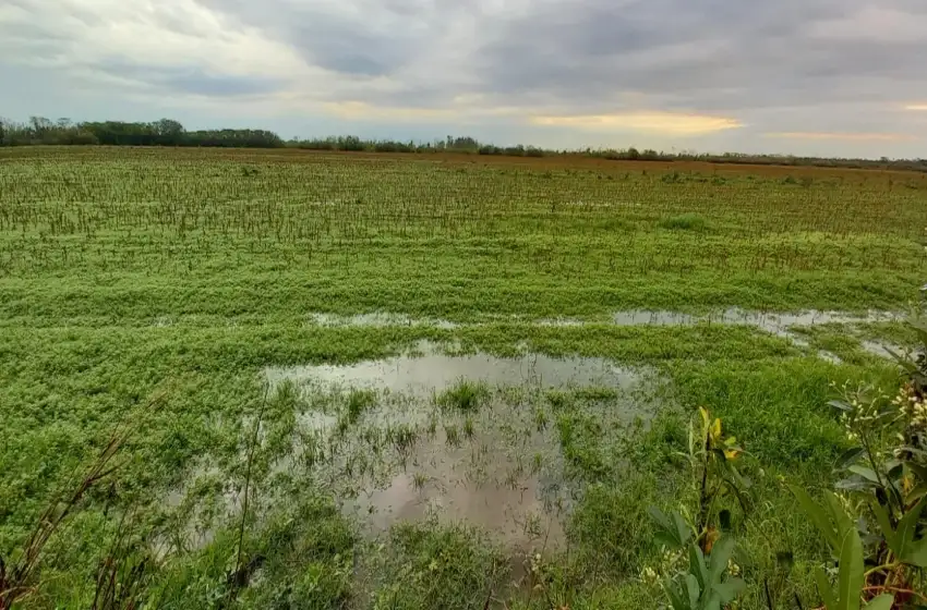 Las condiciones de “El Niño” ya están en la región y se espera una primavera lluviosa
