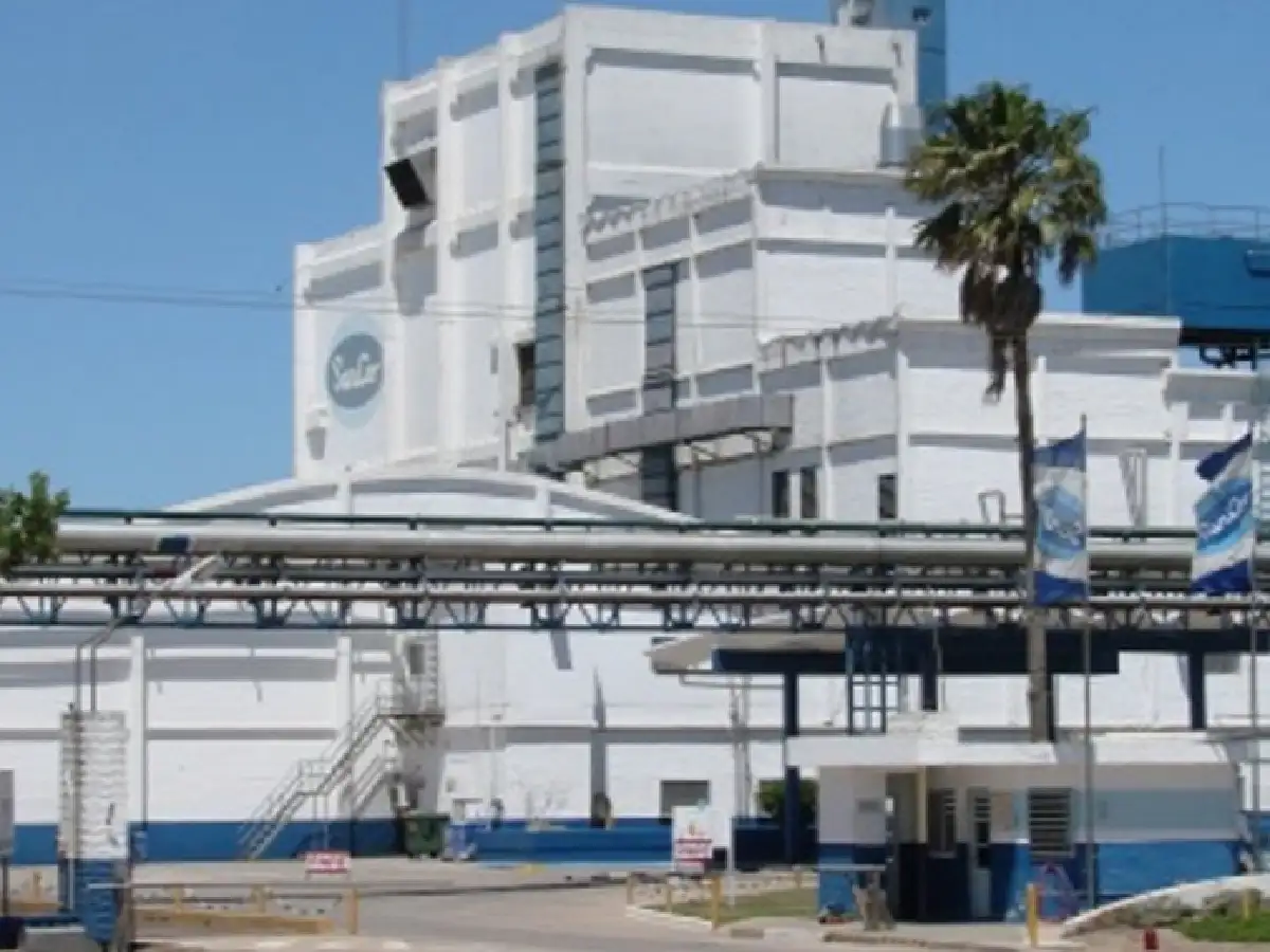 En dos meses, Adecoagro se haría cargo de SanCor Morteros