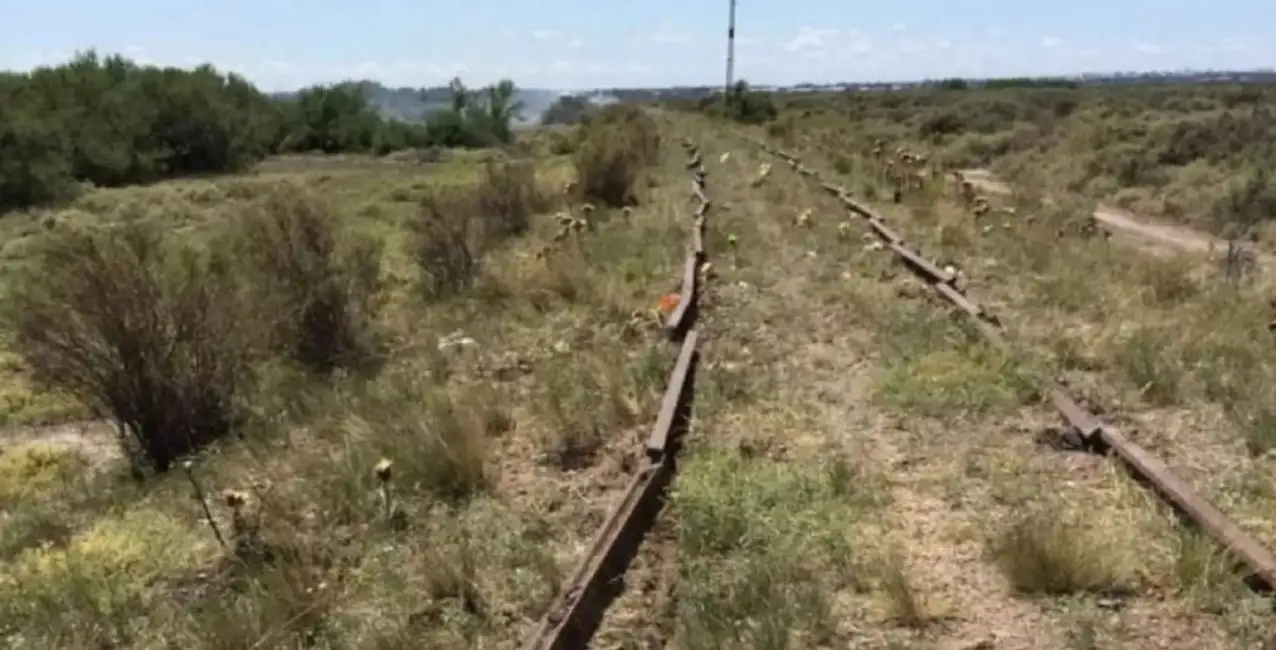 Insólito: se robaron miles de metros de rieles del Tren Patagónico