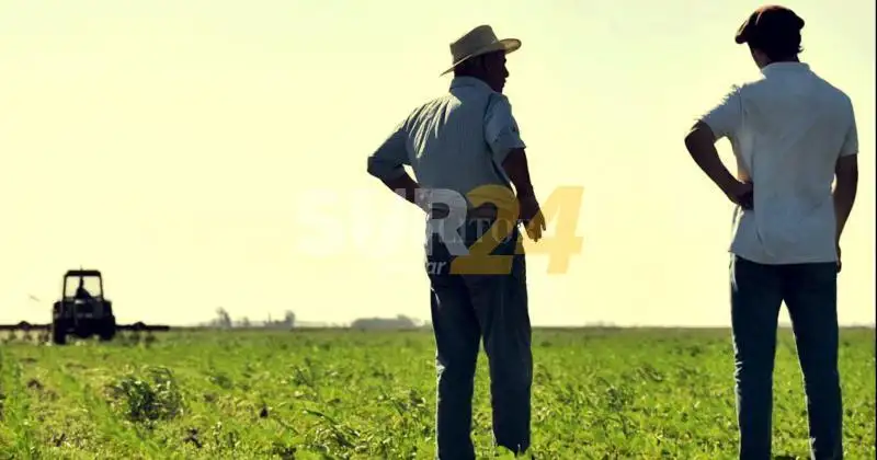 Expectativas favorables del campo para luego del 14-N