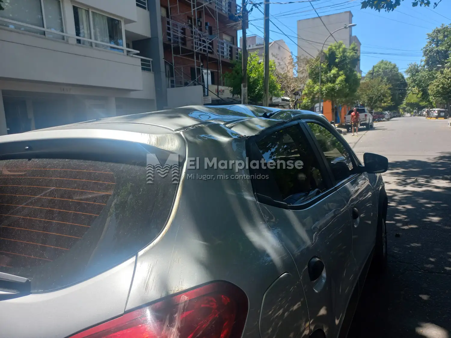 Las ramas también cortaron los cables de internet y televisión.