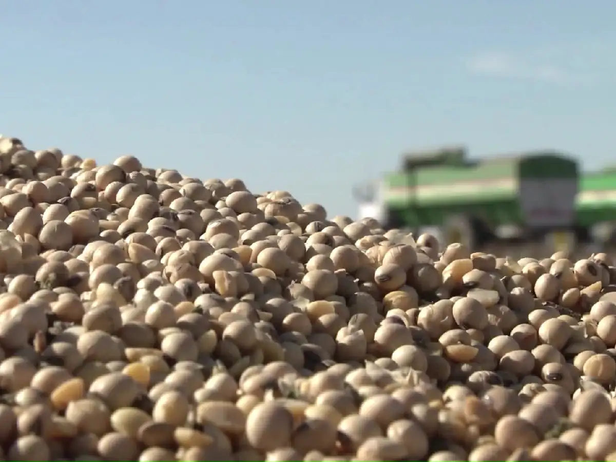 Carbap reclamó a los exportadores "frenar su voracidad comercial"